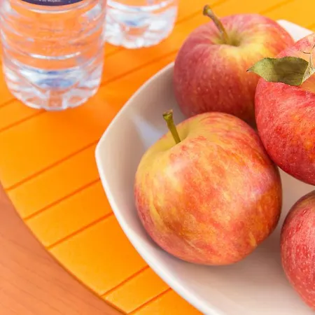 Celas Dream * 코임브라