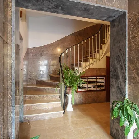 Celas Dream 코임브라