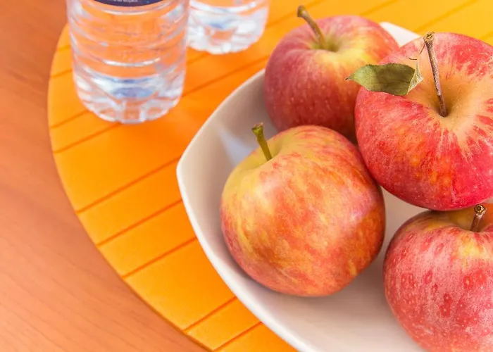 Celas Dream * Coimbra